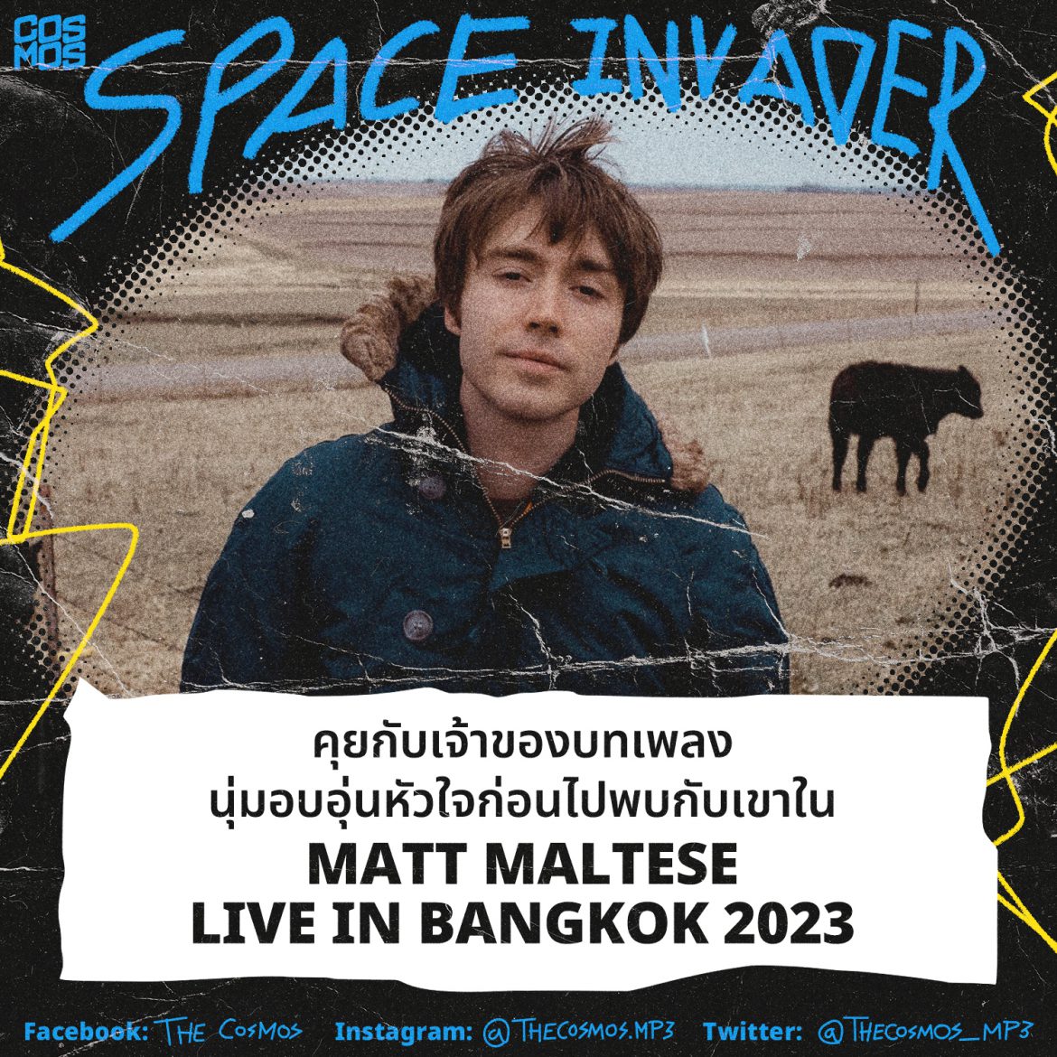 Matt Maltese interview