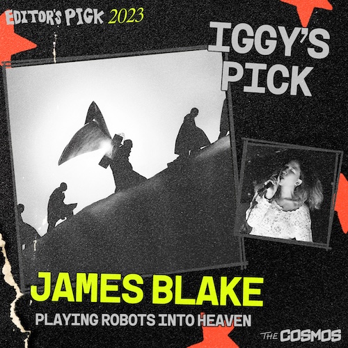 Editor's Pick 2023 Sufjan Stevens xNOMADx Thee Oh Sees Ryuichi Sakamoto Paramore James Blake Soft pine