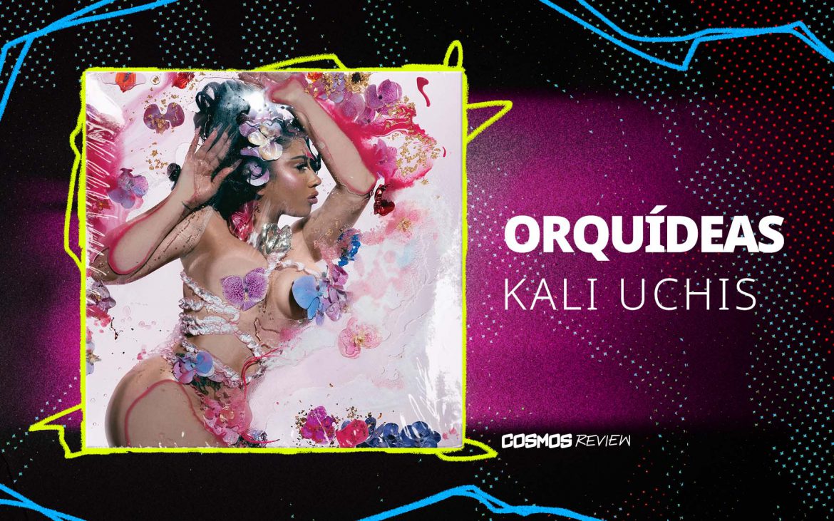 NEW_REVIEW_kali_Orquídeas Orquídeas