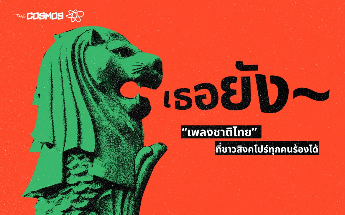 เธอยัง Tur Young Potato สิงคโปร์ Siam Diu Motifs