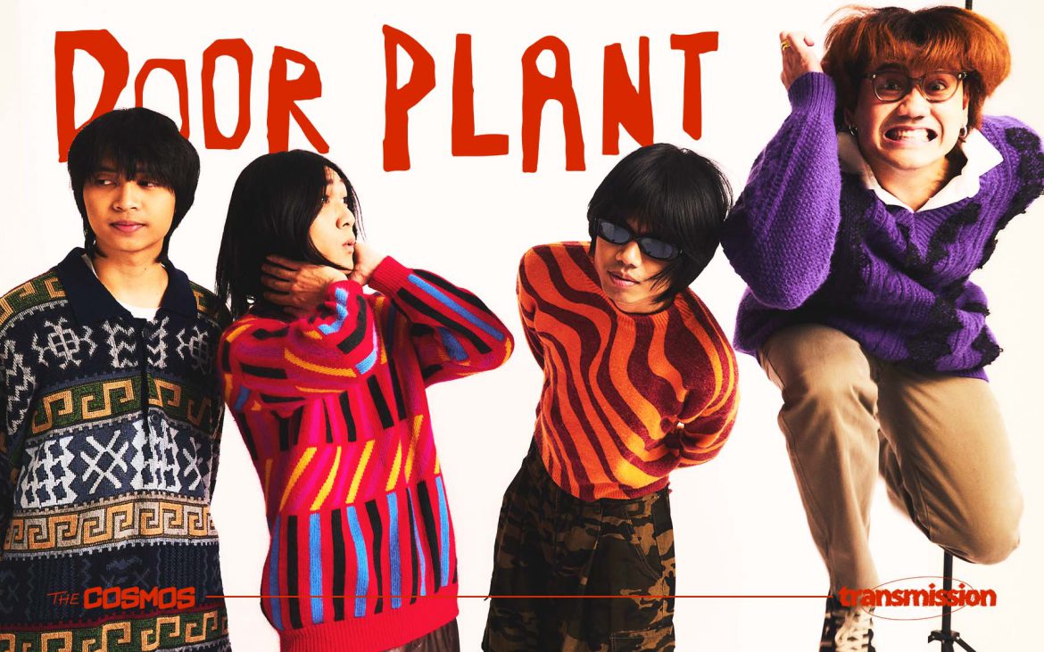 DOOR PLANT PoP!? Plant