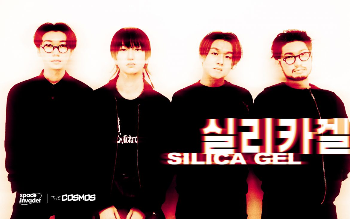 silicagel Silica Gel 실리카겔