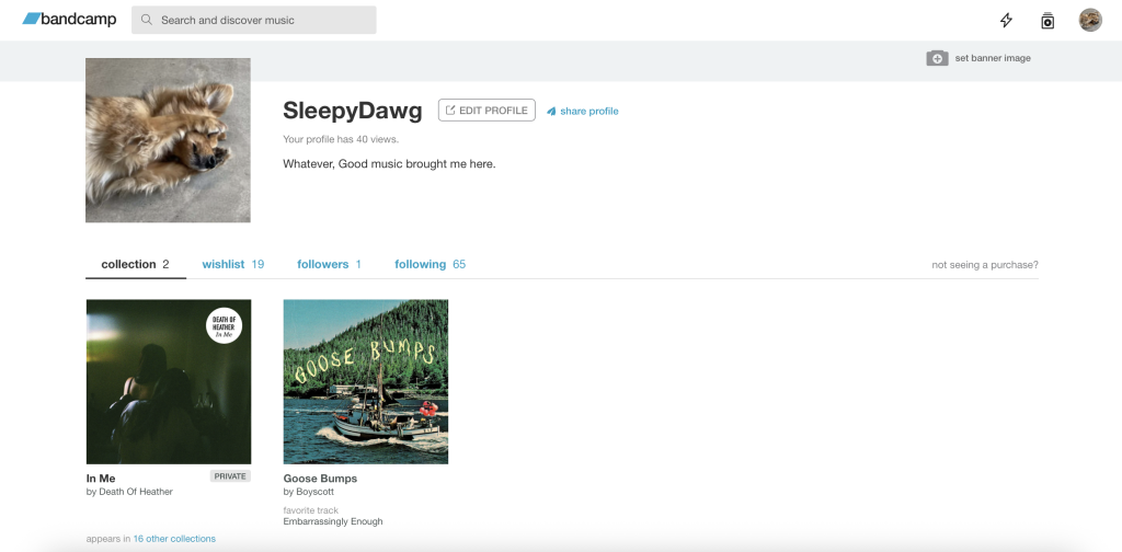 Bandcamp User Profile